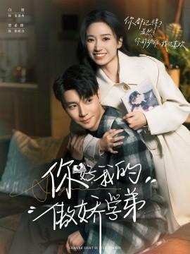 你好,我的傲娇学弟