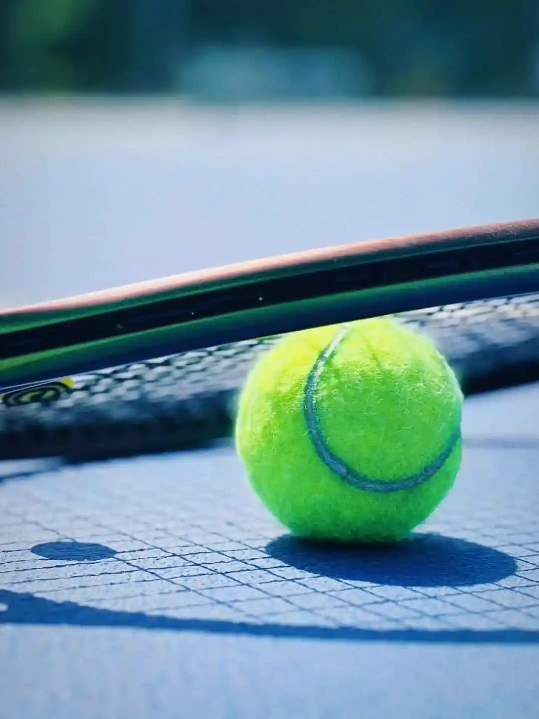 网球联合杯：乔因特VS斯瓦泰克