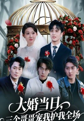 大婚当日,三个哥哥宠我护我全场