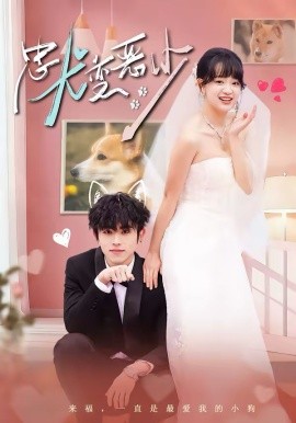 惊!我家来福变恶少了