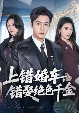 上错婚车,错娶绝色千金