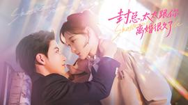 封总,太太跟你离婚很久了